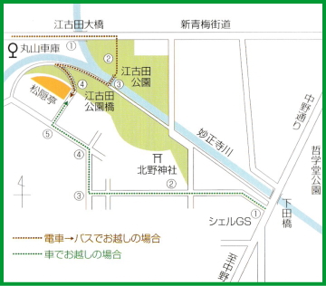 ANZX